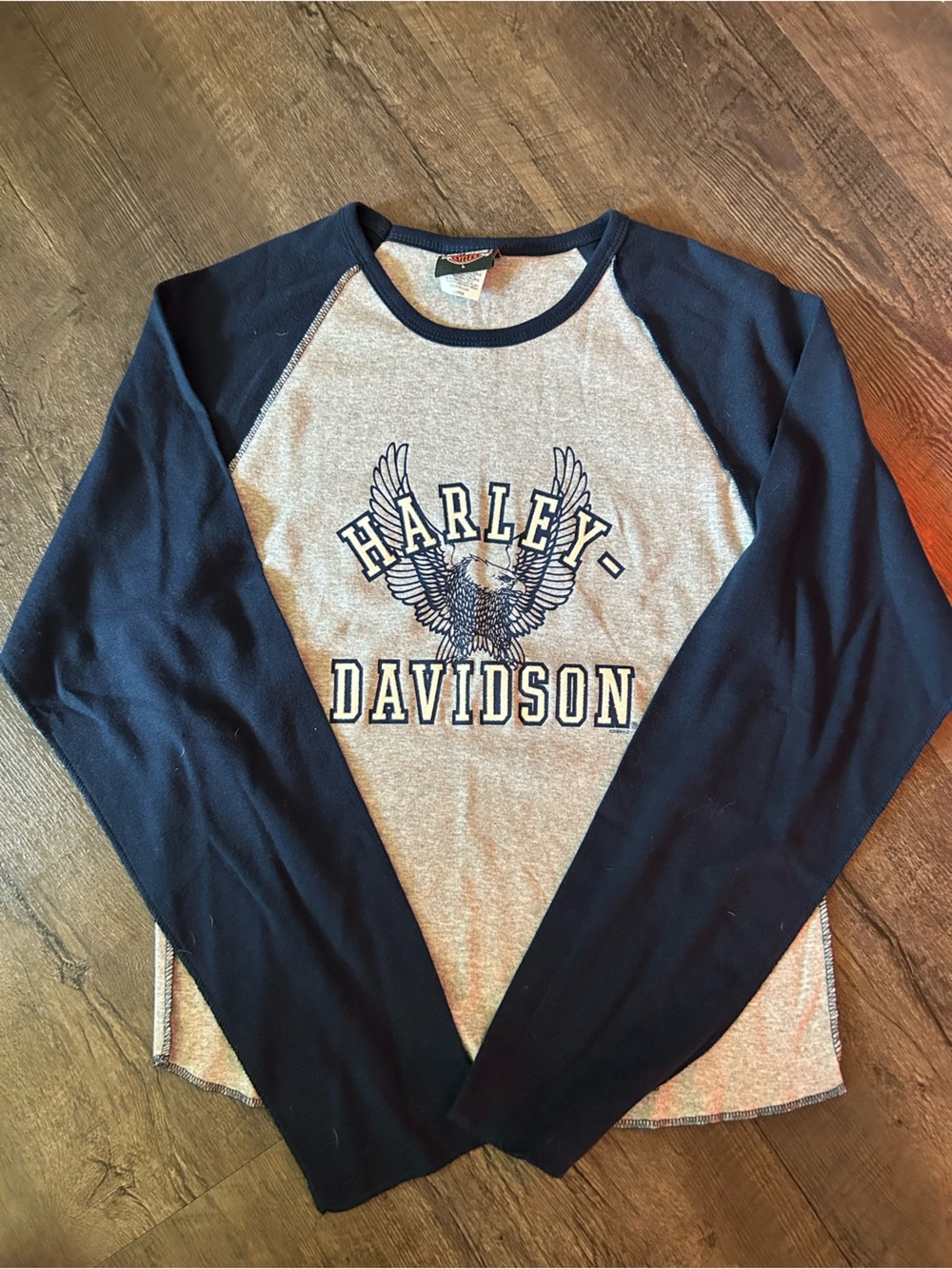 Y2K Harley-Davidson Gray and Blue long sleeve shirt